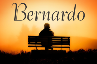 Bernardo Family: A Versatile Display Font for Modern Campaigns