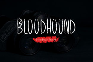 Bloodhound: A Display Font for Brand Identity