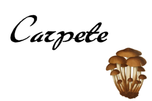 Carpete: A Naive Brush Font for Editorial Design