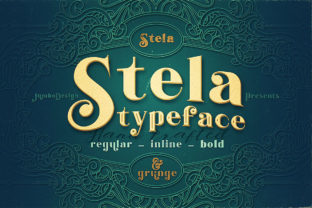 Stela Family: A Grunge Display Font for Bold Campaigns