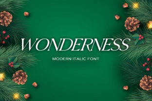 Wonderness: A Display Font That Elevates Brand Identity